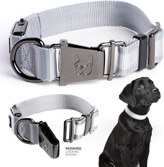 LED Rechargeable Dog Collar - Waterproof and Durable, Grey, Small